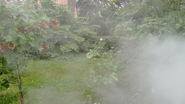Eine riesige Dampfwolken im Garten