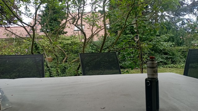 Blick über den Gartentisch ins Grüne, auf dem Tisch das Dampfgerät