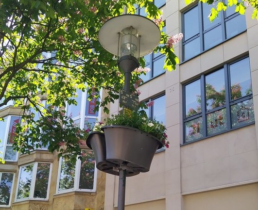 Laternenpfahl dient auch der Stadtbegrünung - Pflanzkübel am Mast montiert