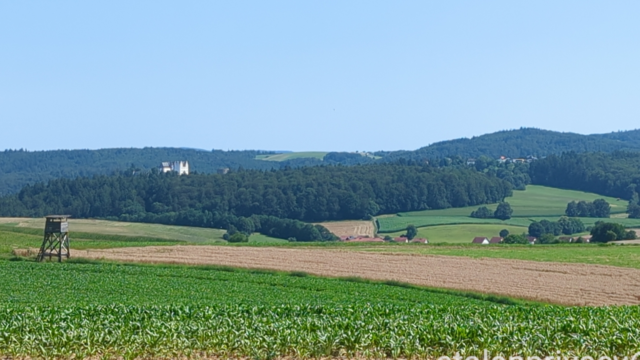 Waldpanorama hinter Feldern mit den Zinnen vom Schloss Lichtenberg und der Neukirchner Höh.